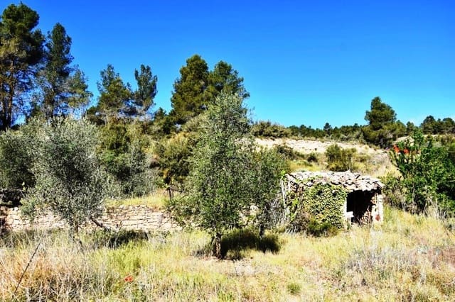 1 bedroom Finca/Country House for sale in La Fresneda - € 14,000 (Ref: 10094892)