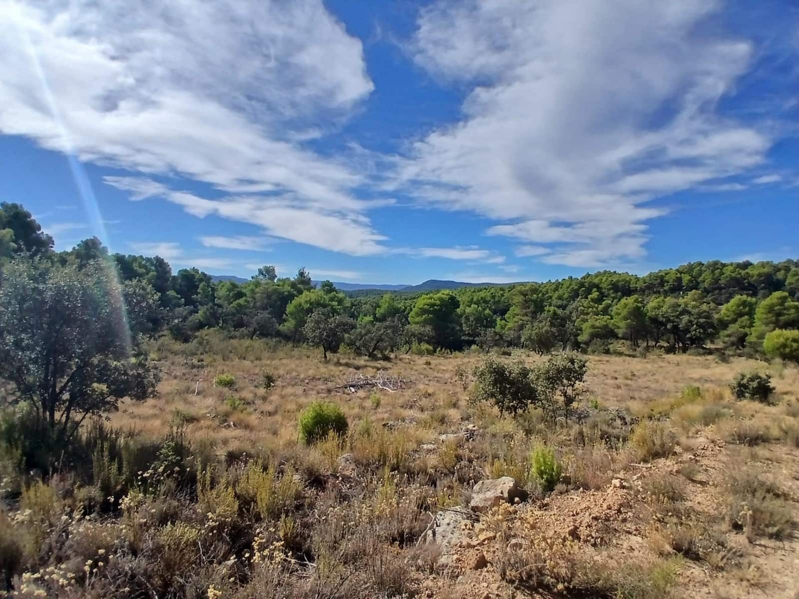 Finca/Casa Rural en Ráfales en venta - 90.000 € (Ref: 10098332)