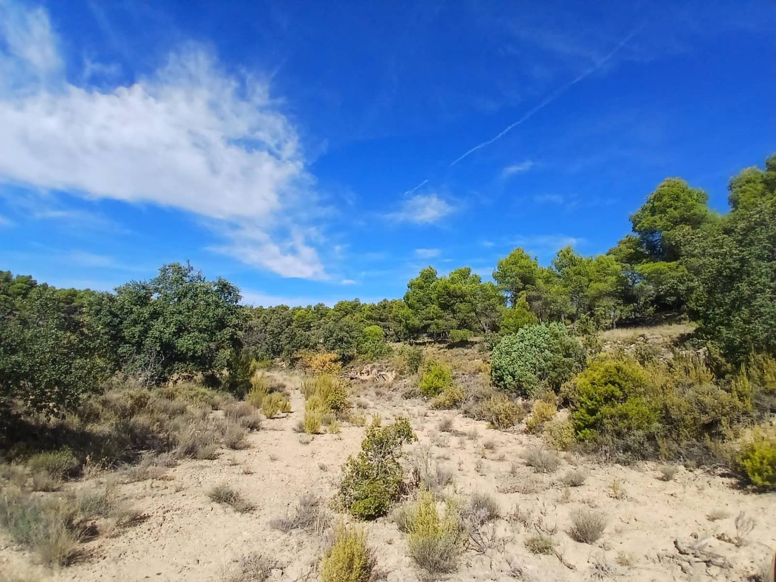 Finca/Casa Rural en Ráfales en venta - 90.000 € (Ref: 10098332)