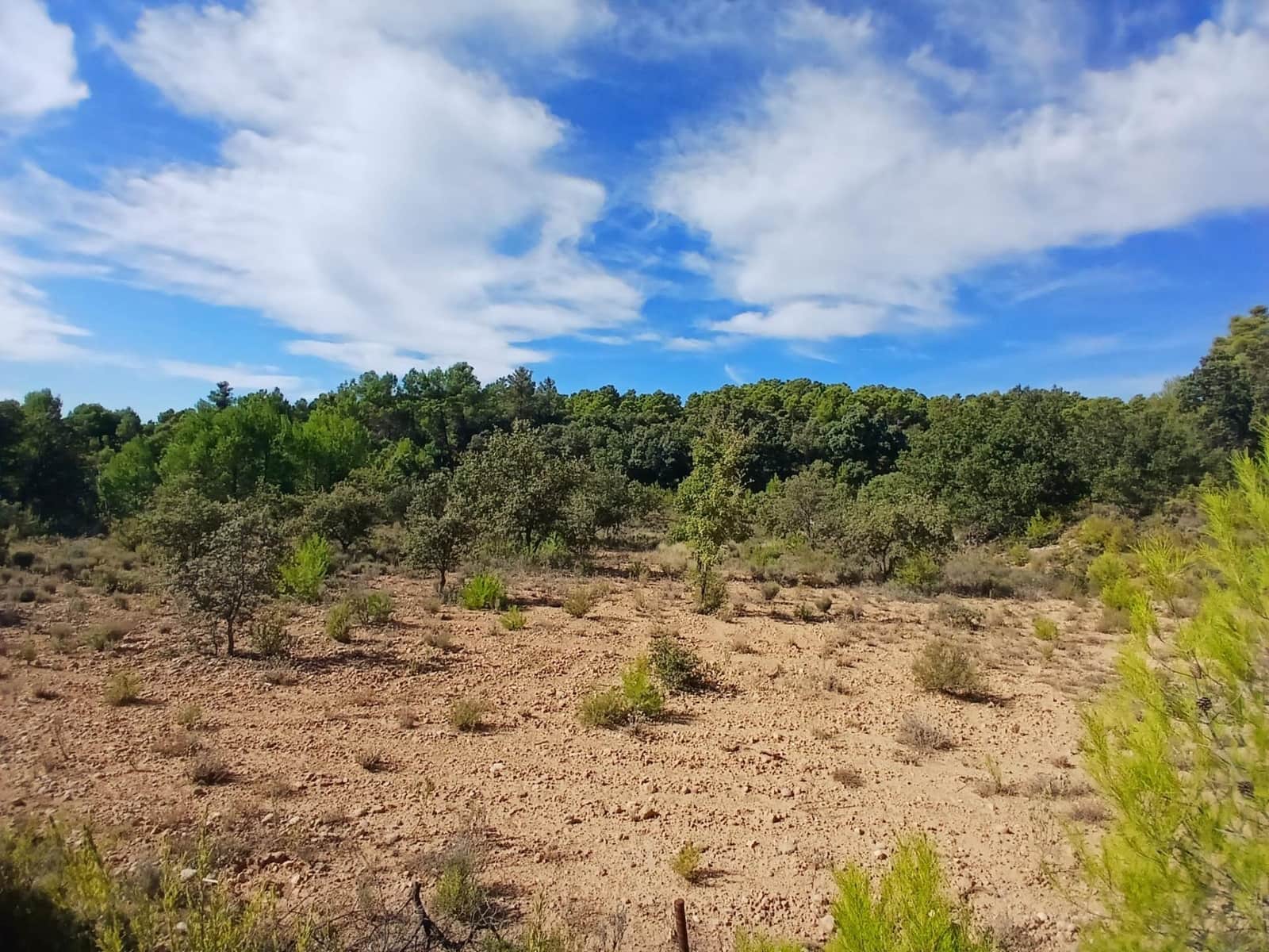 Finca/Casa Rural en Ráfales en venta - 90.000 € (Ref: 10098332)