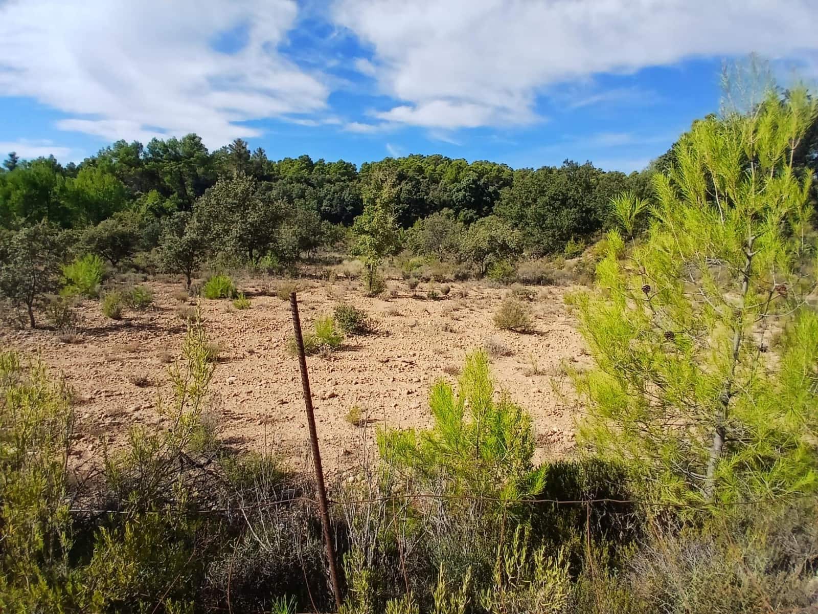 Finca/Casa Rural en Ráfales en venta - 90.000 € (Ref: 10098332)