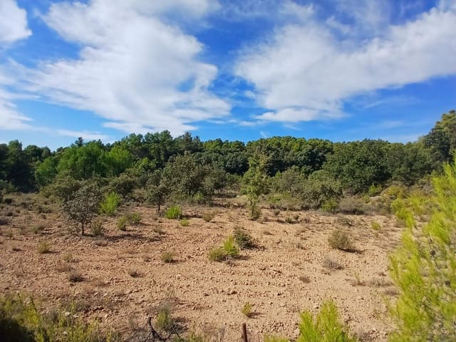 Finca/Casa Rural en Ráfales en venta - 90.000 € (Ref: 10098332)