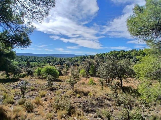 Finca/Casa Rural en Ráfales en venta - 90.000 € (Ref: 10098332)