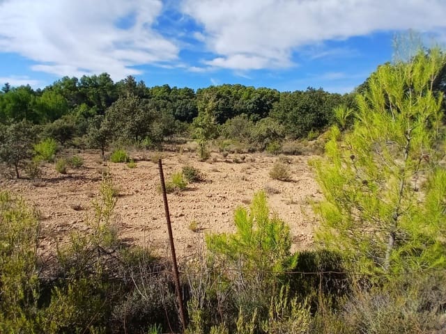 Finca/Casa Rural en Ráfales en venta - 90.000 € (Ref: 10098332)