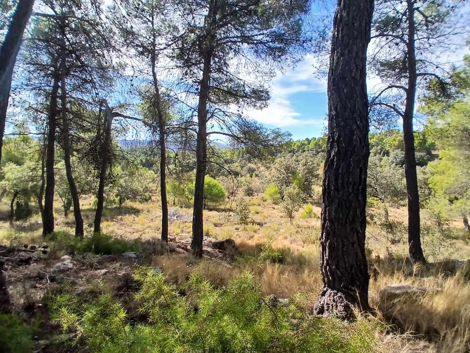 Finca/Casa Rural en Ráfales en venta - 90.000 € (Ref: 10098332)