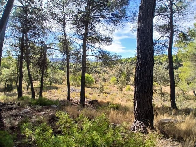 Finca/Casa Rural en Ráfales en venta - 90.000 € (Ref: 10098332)