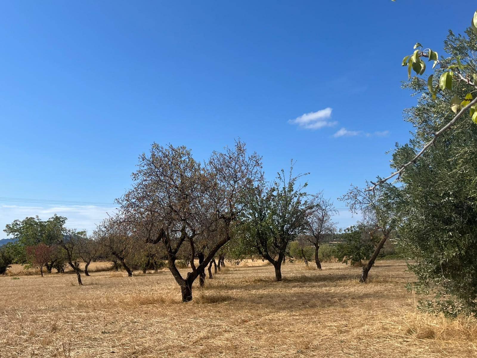 3 bedroom Finca/Country House for sale in Cretas with garage - € 300,000 (Ref: 10130096)