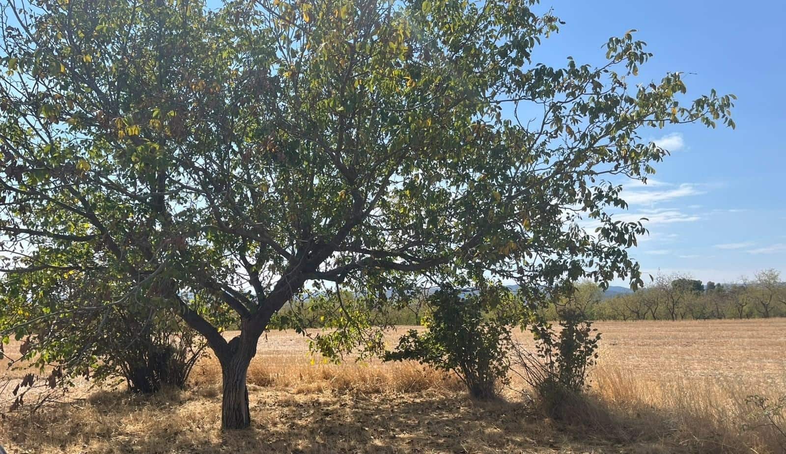 3 bedroom Finca/Country House for sale in Cretas with garage - € 300,000 (Ref: 10130096)
