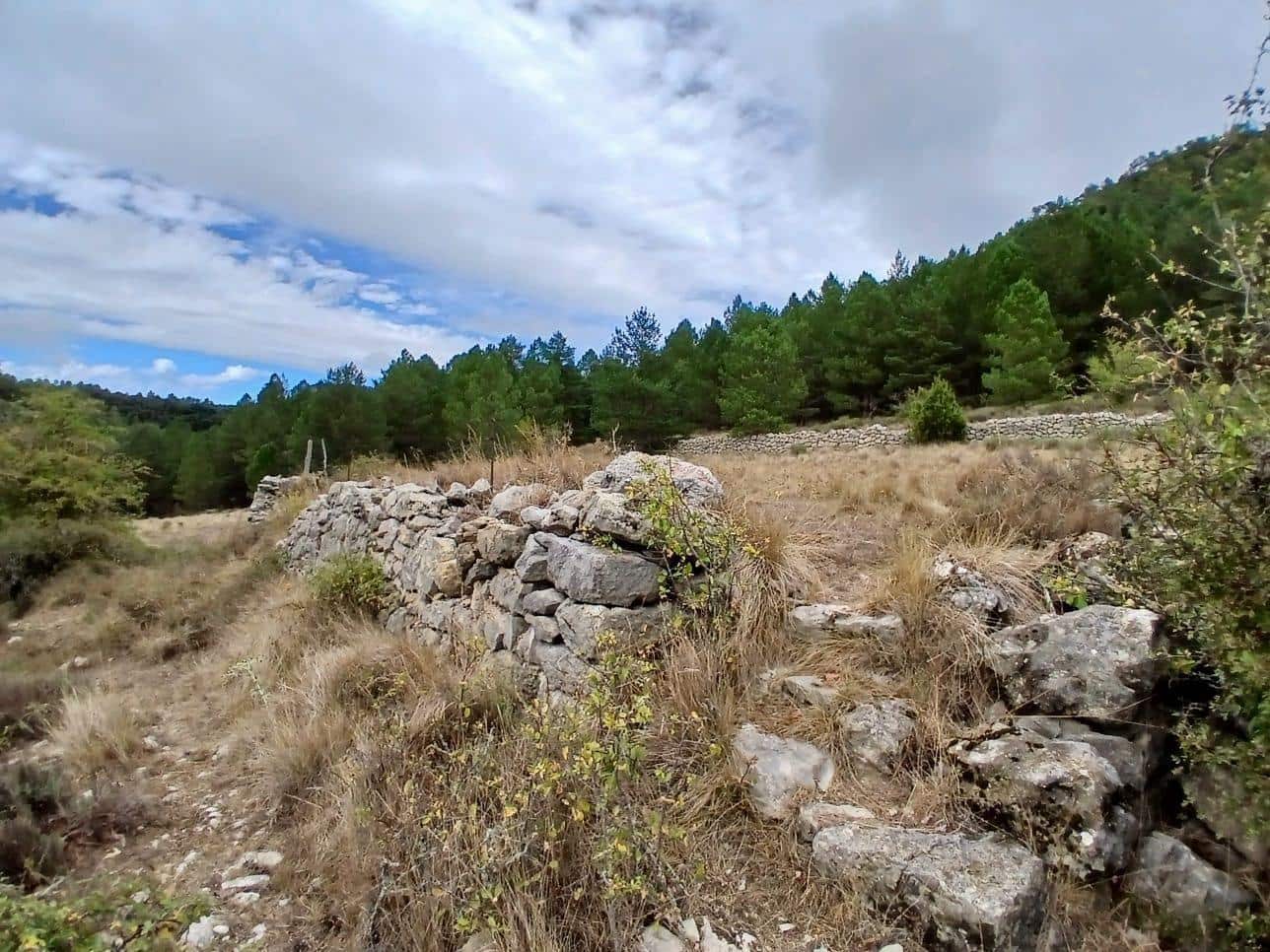 1 Zimmer Finca/Landgut zu verkaufen in La Pobla de Benifassa - 120.000 € (Ref: 10130097)