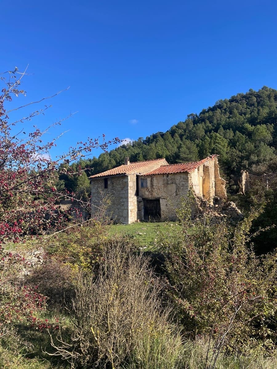 1 Zimmer Finca/Landgut zu verkaufen in La Pobla de Benifassa - 120.000 € (Ref: 10130097)