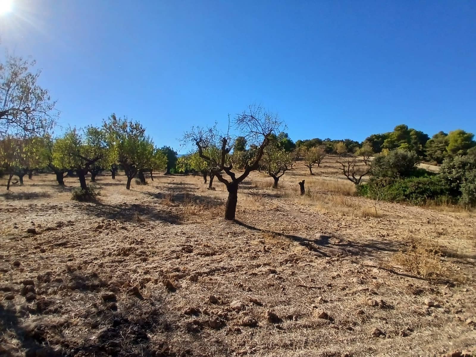 1 soverom Finca/Herregård til salgs i Arnes - € 139 000 (Ref: 10142519)