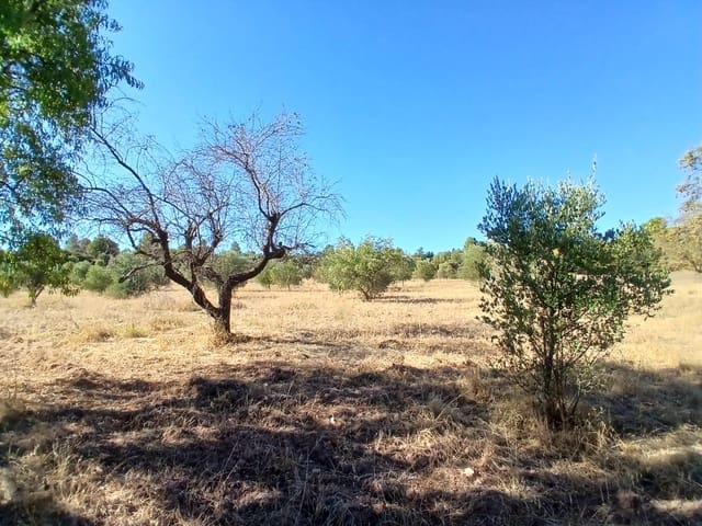 1 soverom Finca/Herregård til salgs i Arnes - € 139 000 (Ref: 10142519)