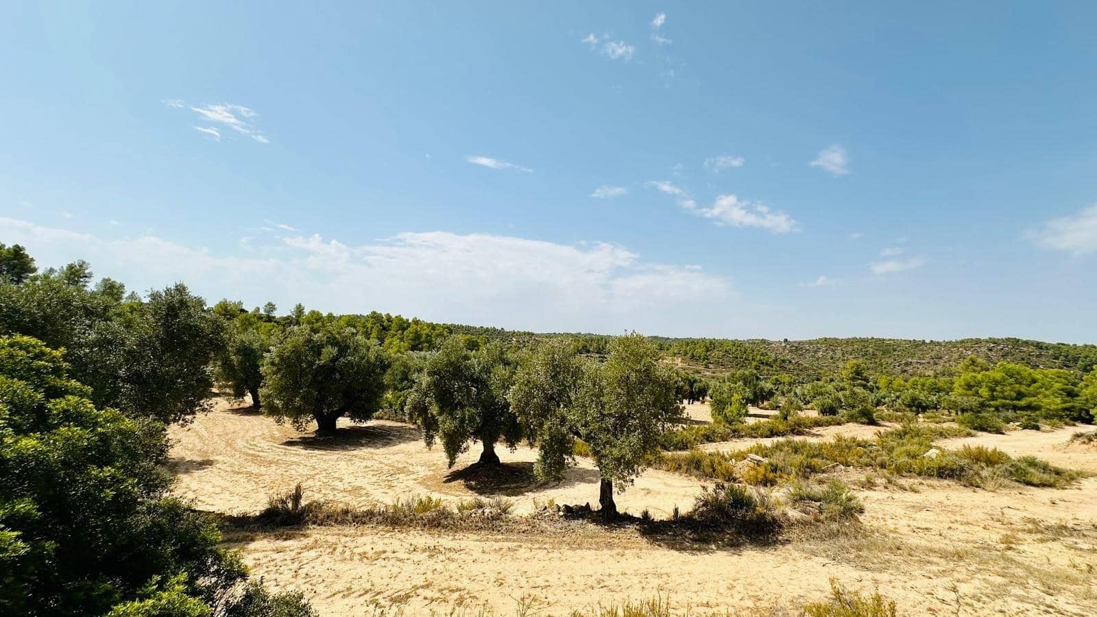 Quinta/Casa Rural para venda em Calaceite - 15 000 € (Ref: 10159877)