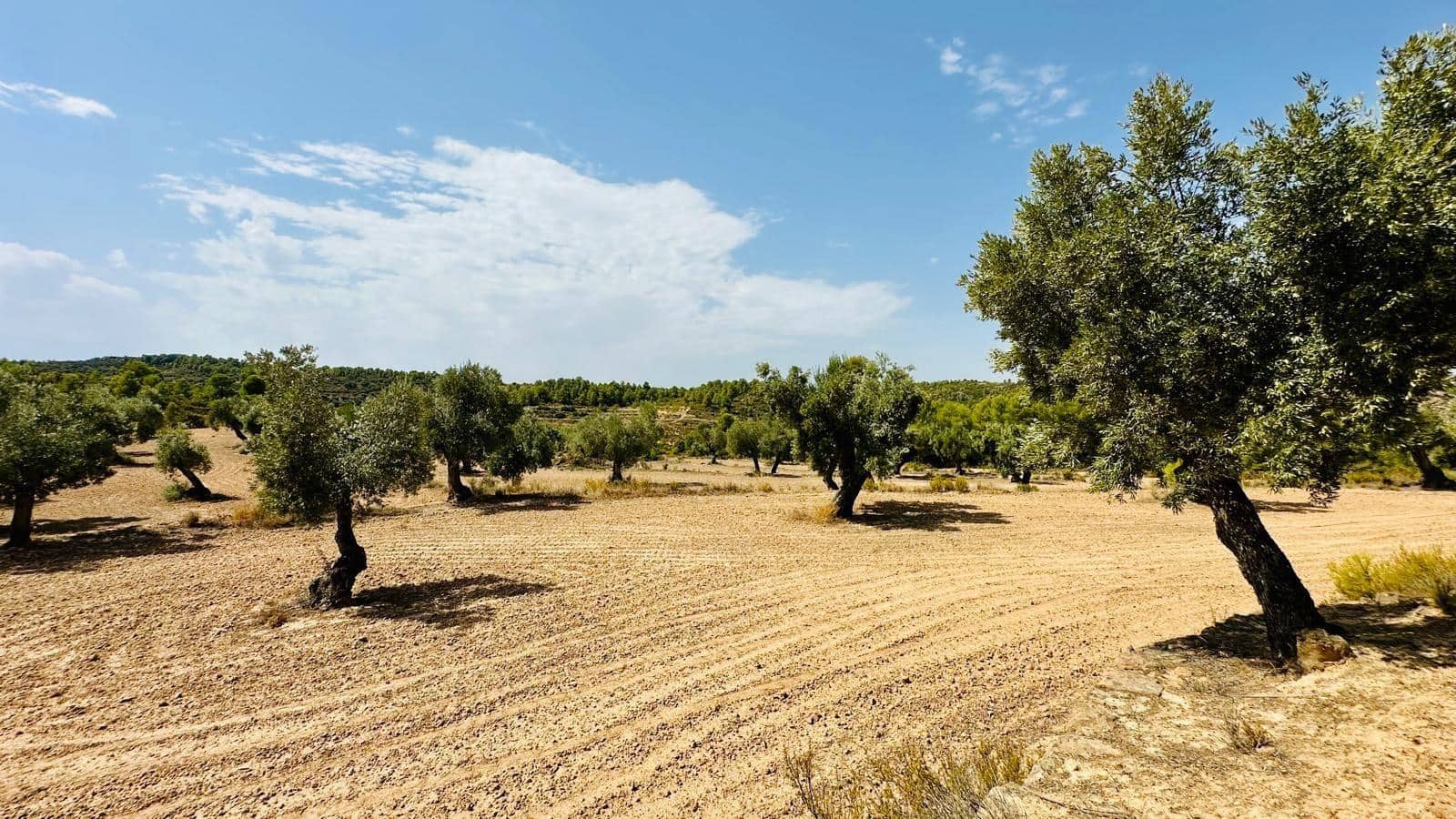 Quinta/Casa Rural para venda em Calaceite - 15 000 € (Ref: 10159877)
