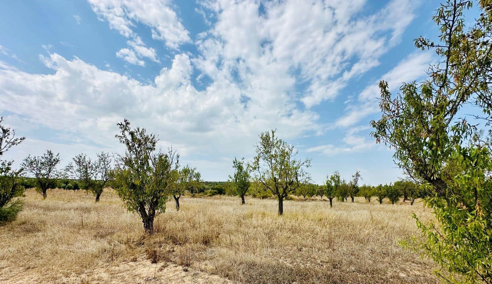 Quinta/Casa Rural para venda em Calaceite - 15 000 € (Ref: 10159877)