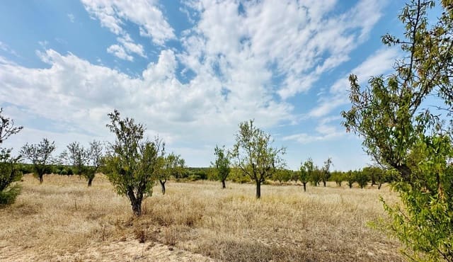 Quinta/Casa Rural para venda em Calaceite - 15 000 € (Ref: 10159877)