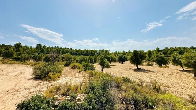 Quinta/Casa Rural para venda em Calaceite - 15 000 € (Ref: 10159877)