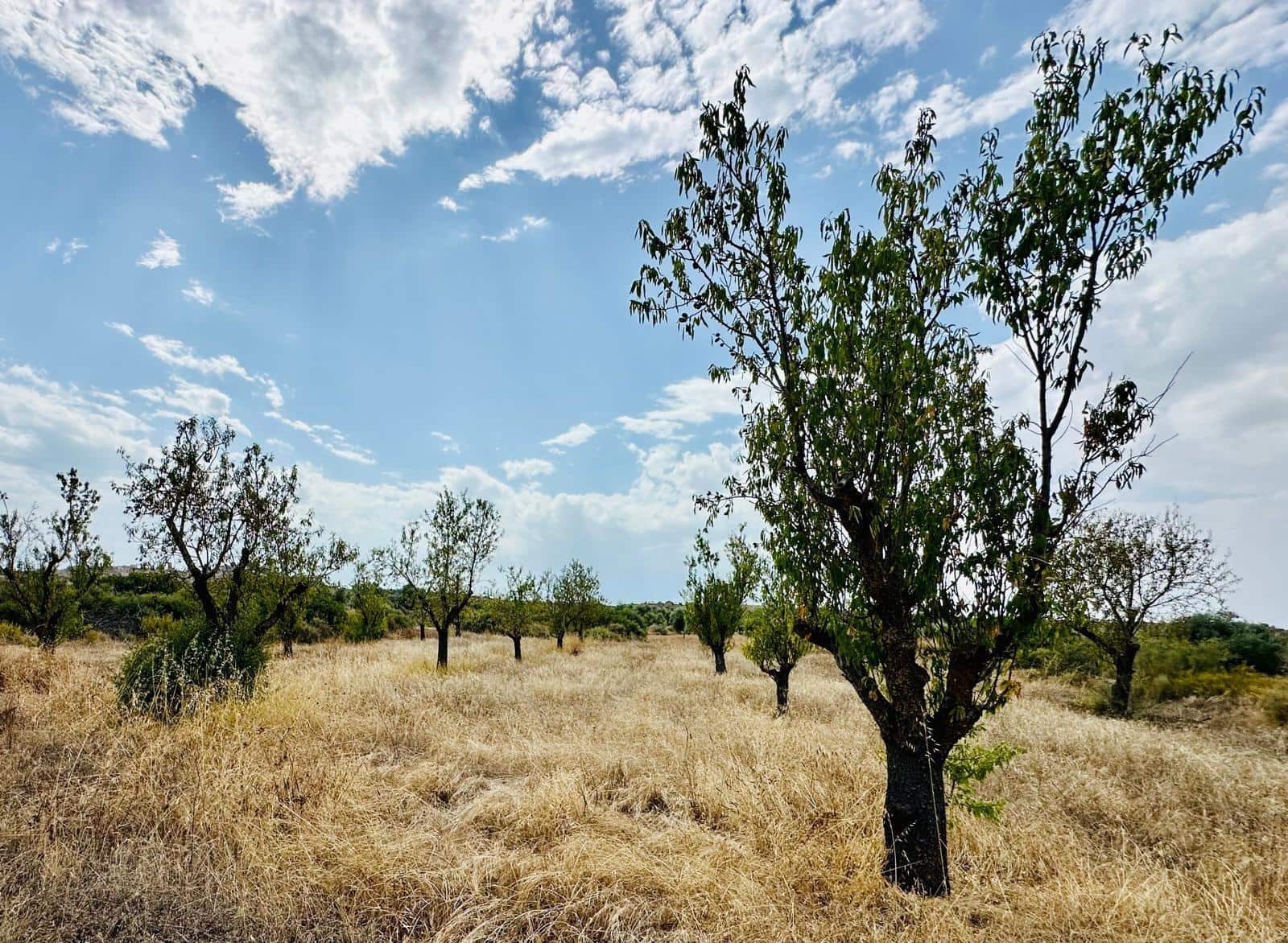 Quinta/Casa Rural para venda em Calaceite - 15 000 € (Ref: 10159877)