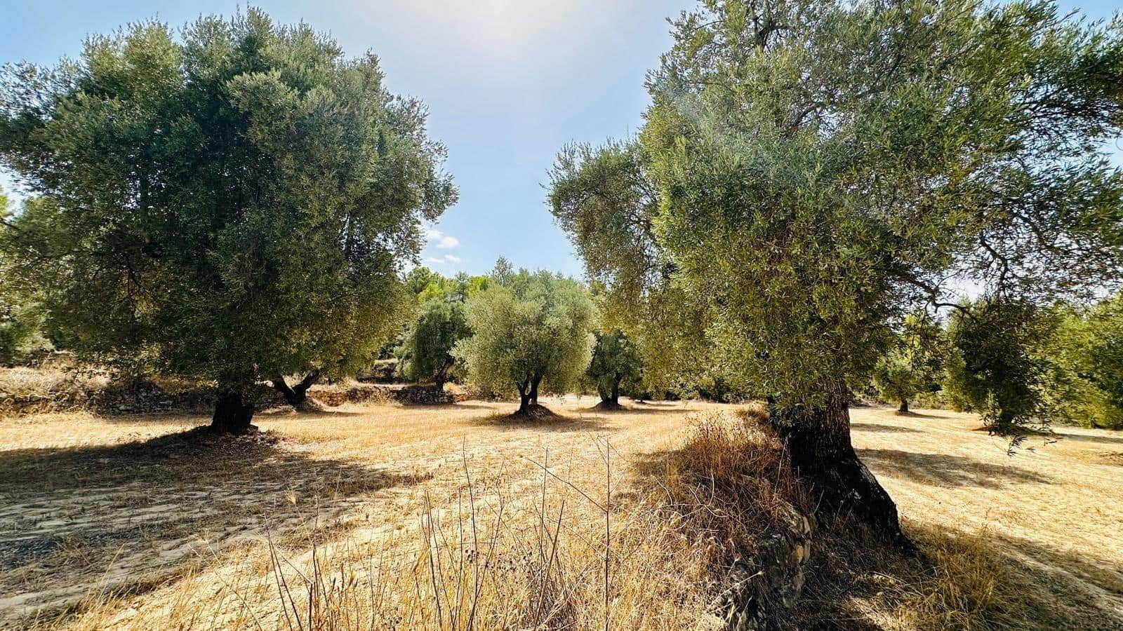 Quinta/Casa Rural para venda em Calaceite - 15 000 € (Ref: 10159877)