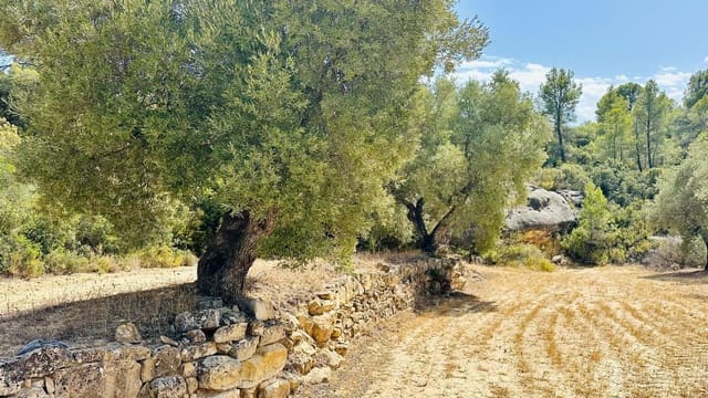 Quinta/Casa Rural para venda em Calaceite - 15 000 € (Ref: 10159877)