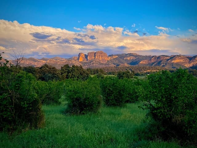 1 soverom Finca/Herregård til salgs i Horta de Sant Joan - € 38 000 (Ref: 10171894)