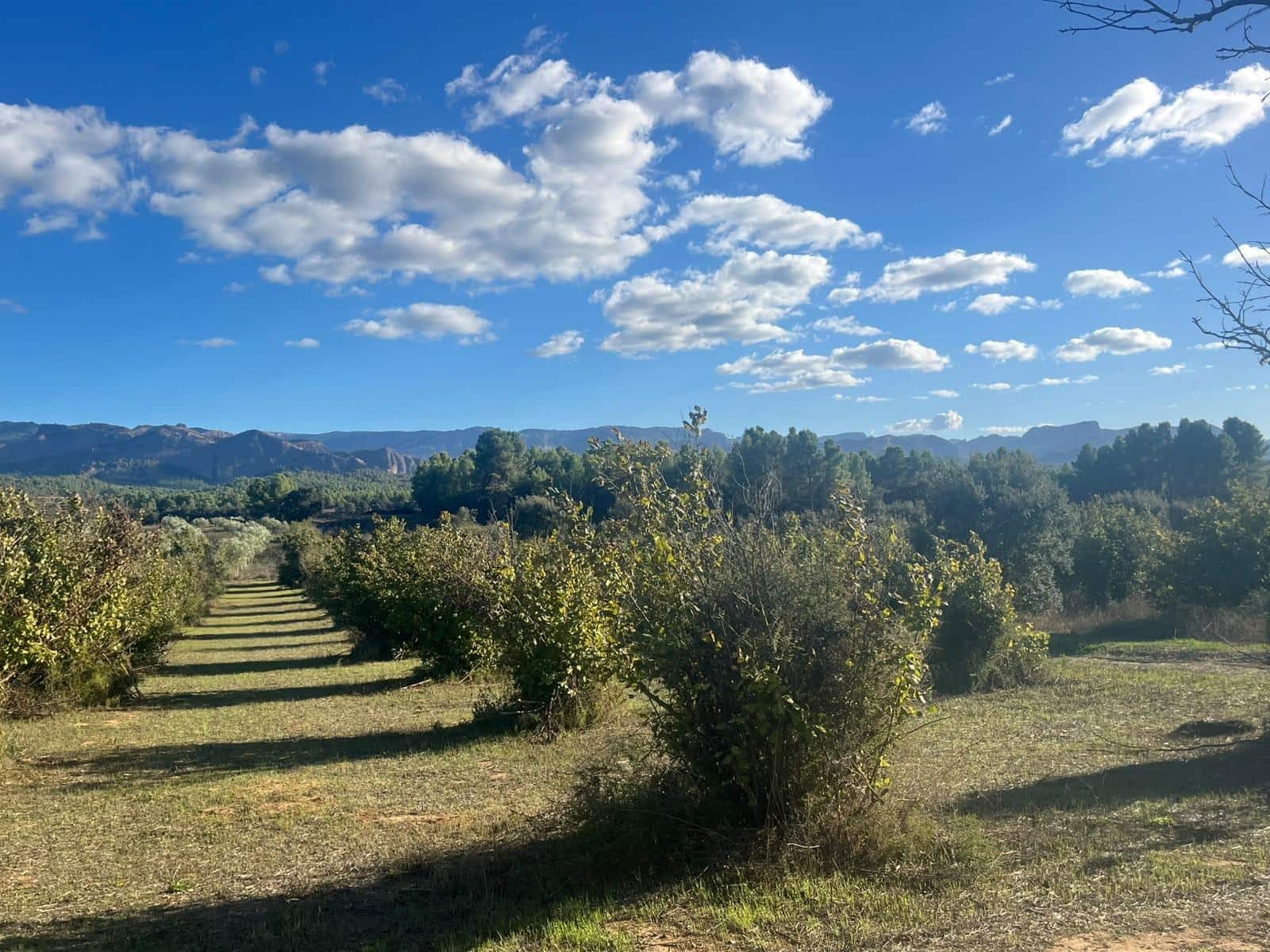 1 soverom Finca/Herregård til salgs i Horta de Sant Joan - € 38 000 (Ref: 10171894)