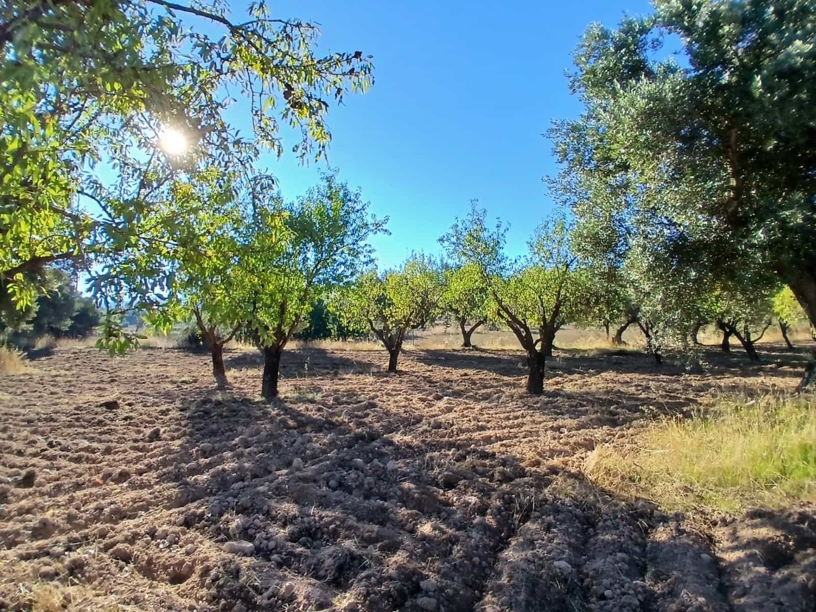 Finca/Casa Rural en La Fresneda en venta - 9.000 € (Ref: 10173845)
