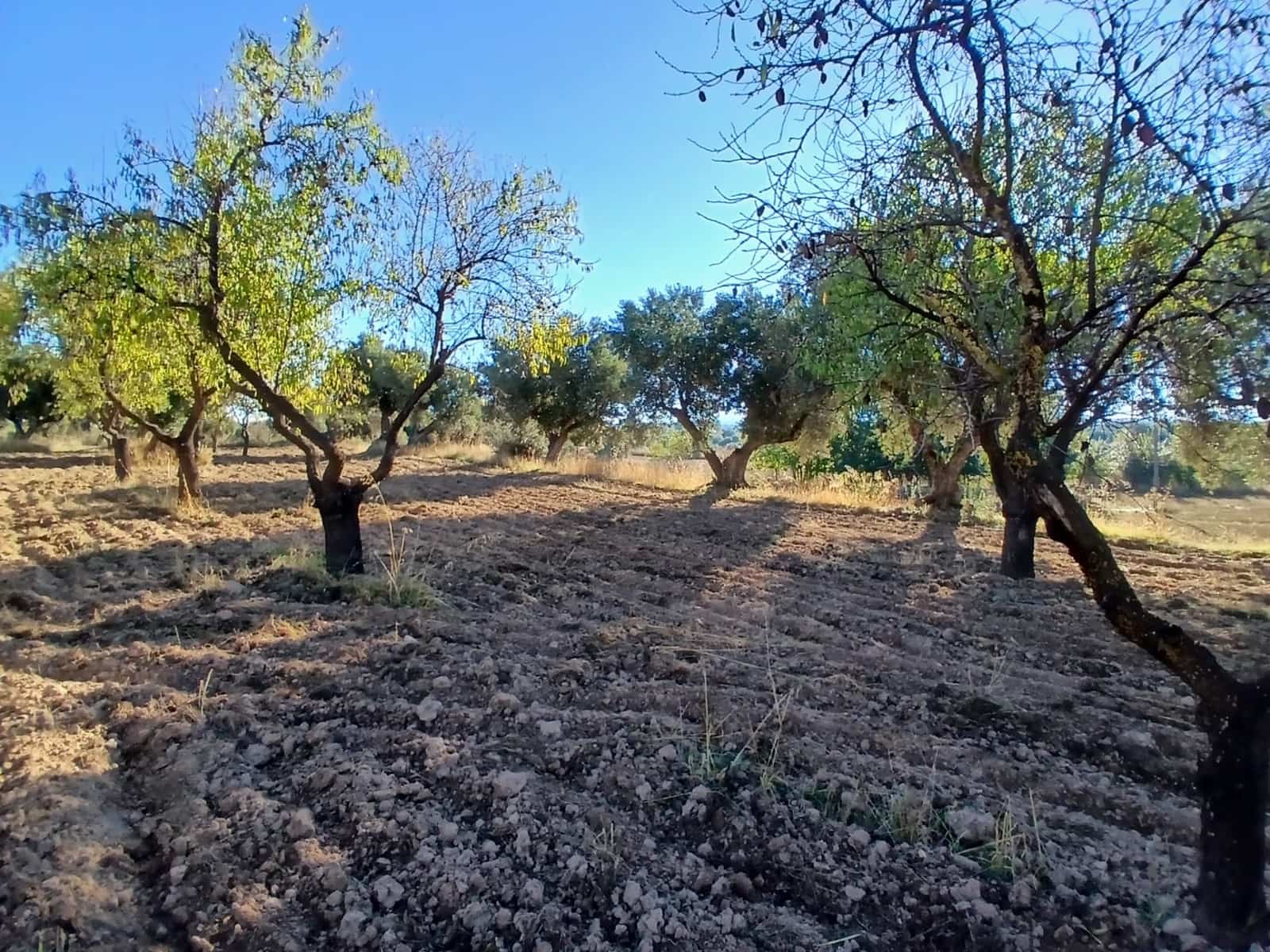 Finca/Casa Rural en La Fresneda en venta - 9.000 € (Ref: 10173845)