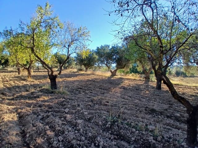 Finca/Herregård til salgs i La Fresneda - € 9 000 (Ref: 10173845)