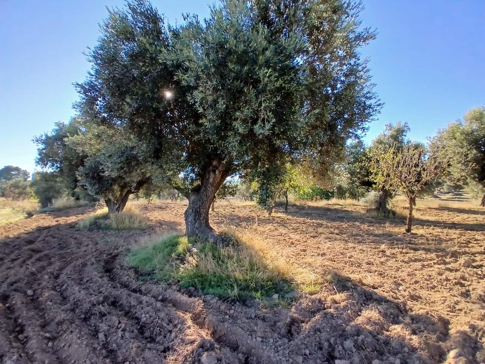 Finca/Casa Rural en La Fresneda en venta - 9.000 € (Ref: 10173845)