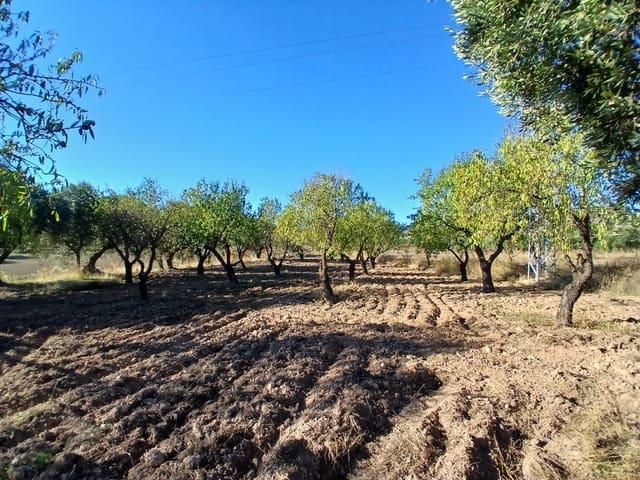 Finca/Herregård til salgs i La Fresneda - € 9 000 (Ref: 10173845)