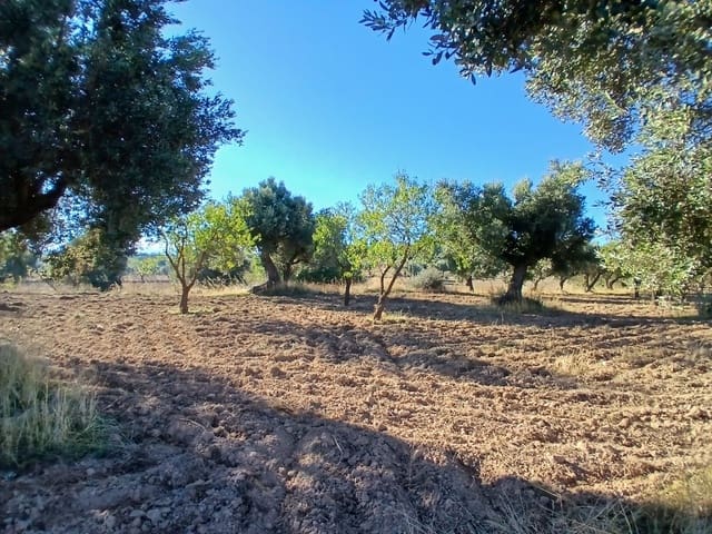 Finca/Herregård til salgs i La Fresneda - € 9 000 (Ref: 10173845)