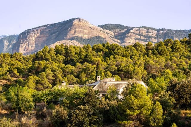 2 sovrum Finca/Hus på landet till salu i Cretas - 499 000 € (Ref: 10185106)