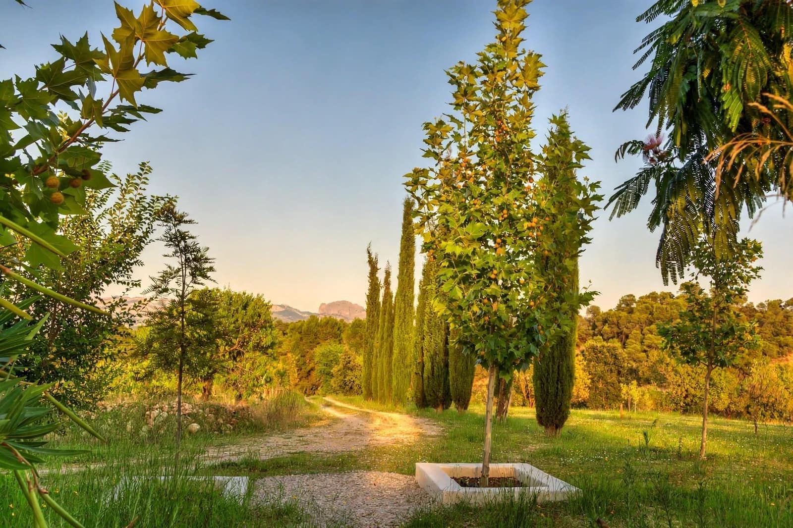 2 sovrum Finca/Hus på landet till salu i Cretas - 499 000 € (Ref: 10185106)