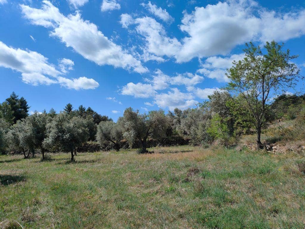 Finca/Herregård til salgs i La Fresneda - € 15 000 (Ref: 9150141)