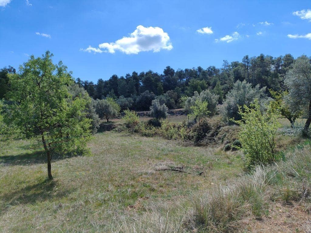 Finca/Herregård til salgs i La Fresneda - € 15 000 (Ref: 9150141)