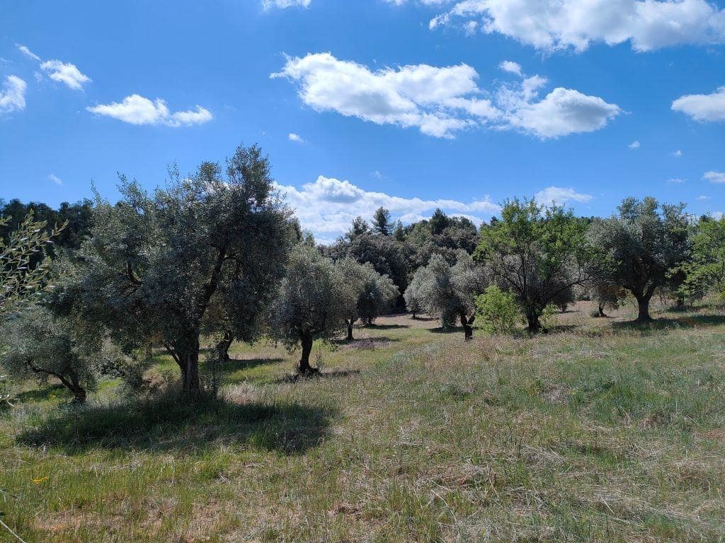 Finca/Herregård til salgs i La Fresneda - € 15 000 (Ref: 9150141)