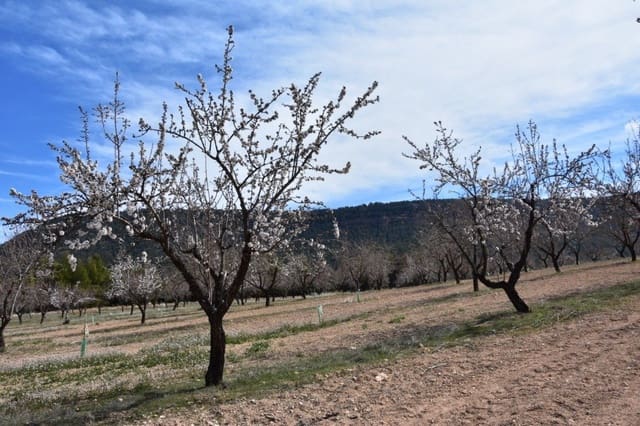 1 soveværelse Finca/Landehus til salg i Fuentespalda - € 195.000 (Ref: 9150145)