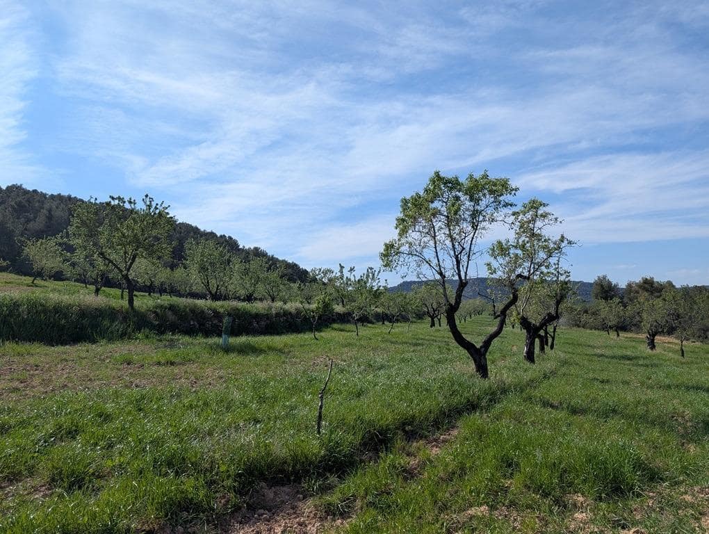 1 soveværelse Finca/Landehus til salg i Fuentespalda - € 195.000 (Ref: 9150145)