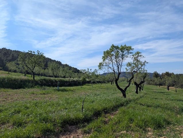 1 soveværelse Finca/Landehus til salg i Fuentespalda - € 195.000 (Ref: 9150145)