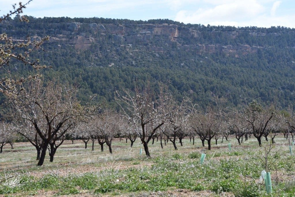 1 soveværelse Finca/Landehus til salg i Fuentespalda - € 195.000 (Ref: 9150145)