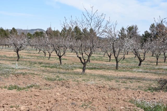 1 soveværelse Finca/Landehus til salg i Fuentespalda - € 195.000 (Ref: 9150145)