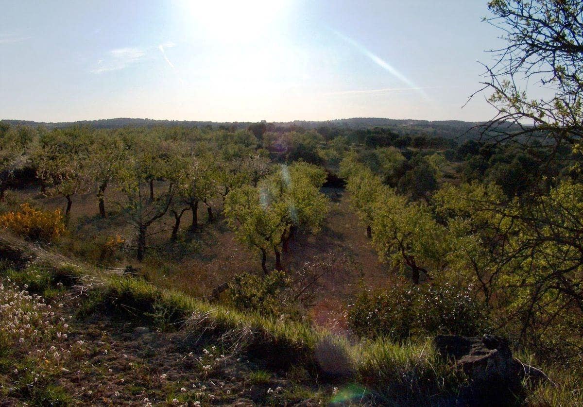 Finca/Landhuis te koop in Calaceite - € 50.000 (Ref: 9150146)