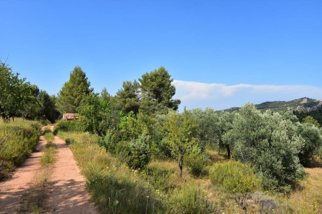 Finca/Herregård til salgs i Cretas - € 45 000 (Ref: 9150150)