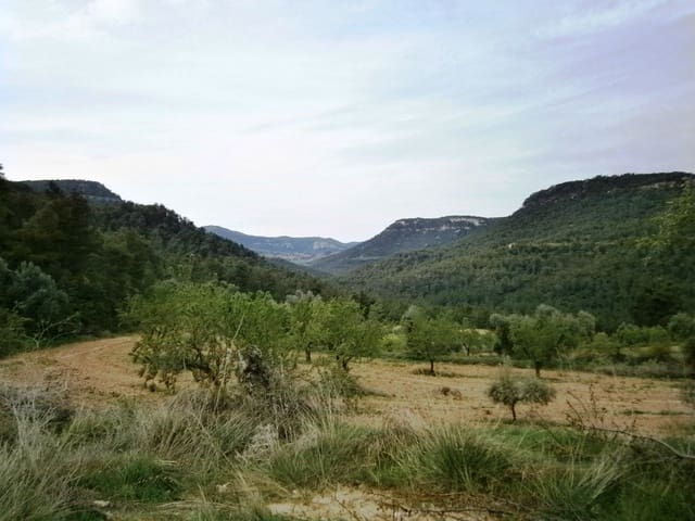 Finca/Landehus til salg i Fuentespalda med garage - € 300.000 (Ref: 9150151)