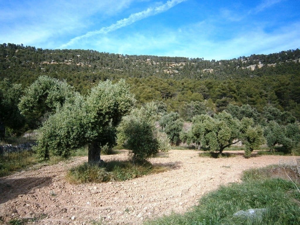 Finca/Landehus til salg i Fuentespalda med garage - € 300.000 (Ref: 9150151)