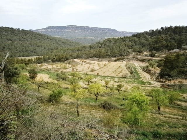 Finca/Landehus til salg i Fuentespalda med garage - € 300.000 (Ref: 9150151)