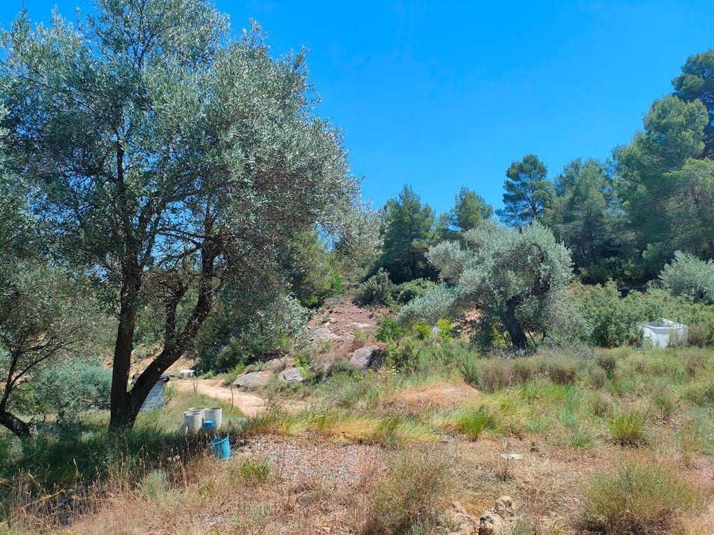 Finca/Hus på landet till salu i Calaceite - 33 000 € (Ref: 9150153)