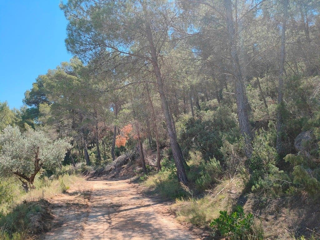 Finca/Hus på landet till salu i Calaceite - 33 000 € (Ref: 9150153)