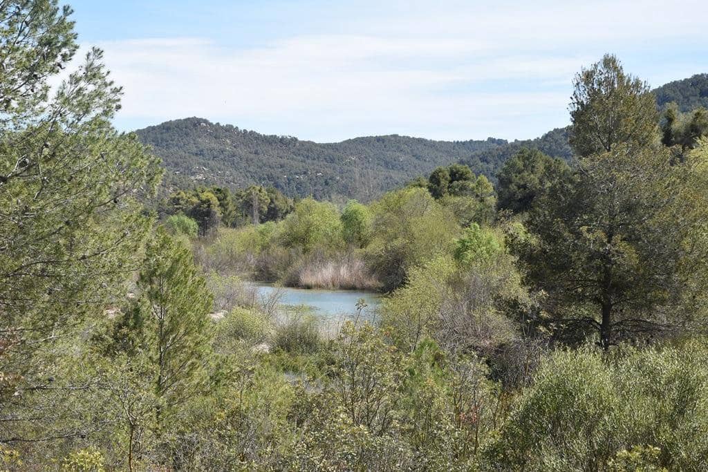 Finca/Herregård til salgs i Arens de Lledo - € 54 000 (Ref: 9150154)